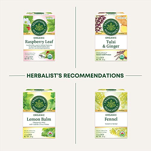 Traditional Medicinals - Tisane d'allaitement au lait maternel biologique (paquet de 1) - Soutient la production de lait maternel pour les mères qui allaitent - 16 sachets de thé au total 