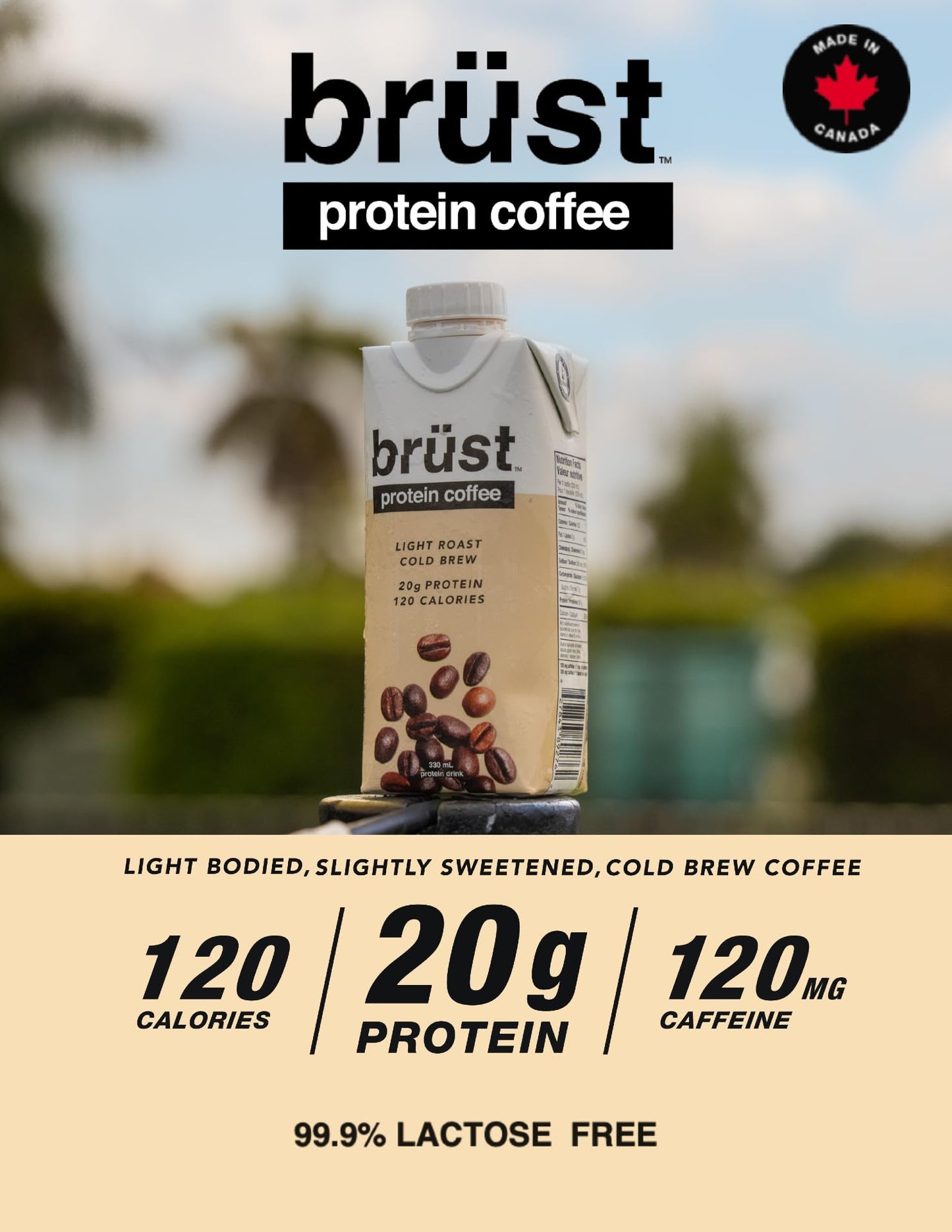 BRÜST PROTEIN COFFEE LIGHT ROAST - Pack de 12 (20 g de protéines, 120 mg de caféine, 120 calories) Léger, légèrement sucré, 330 ml, Brust Cold Brew Iced Coffee - COMME VU DANS DRAGON'S DEN 