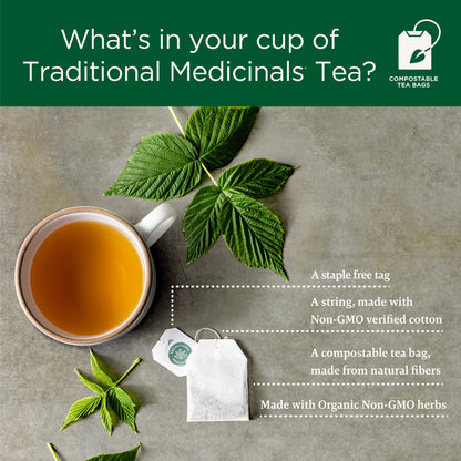 Traditional Medicinals - Tisane d'allaitement au lait maternel biologique (paquet de 1) - Soutient la production de lait maternel pour les mères qui allaitent - 16 sachets de thé au total 