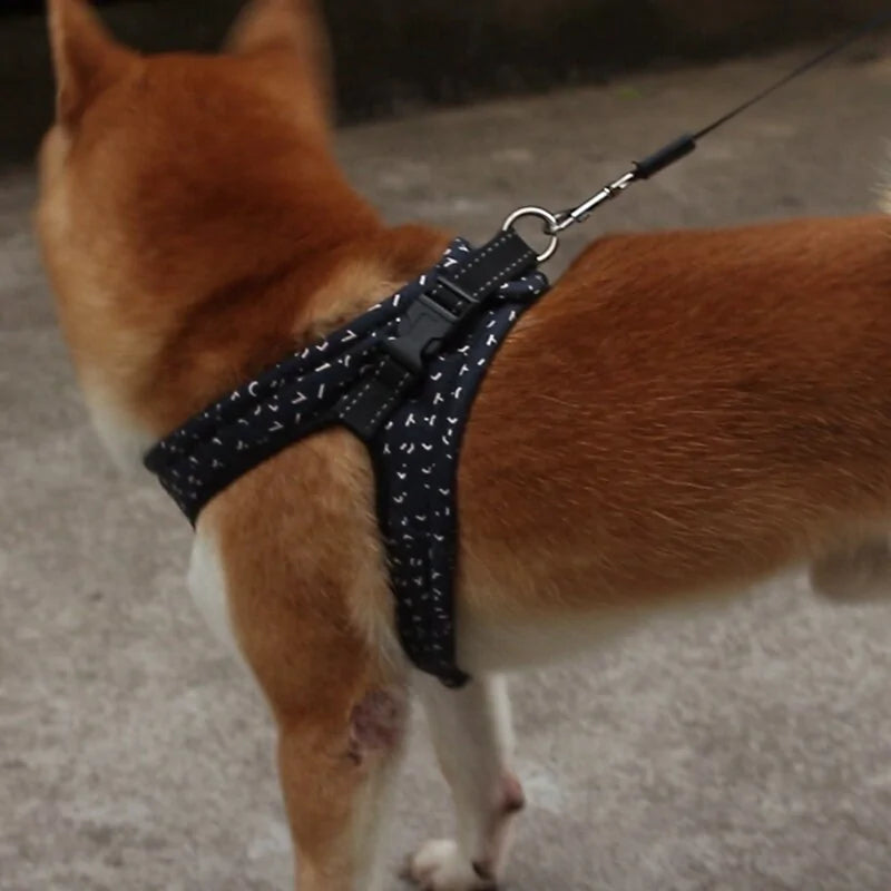 Comfortable And Secure Harness For Pets